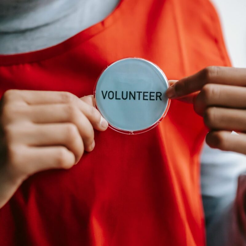 volunteering essex county fall 2024
