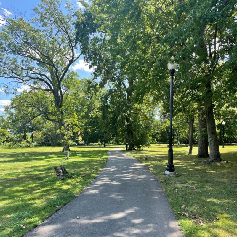 watessing park bloomfield
