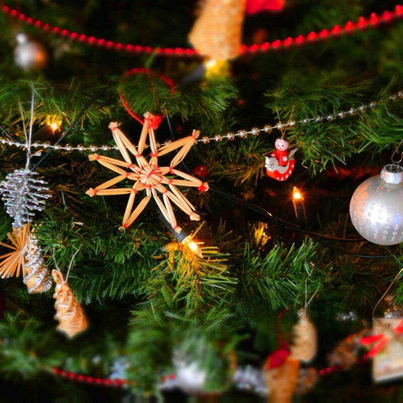 christmas things to do new jersey
