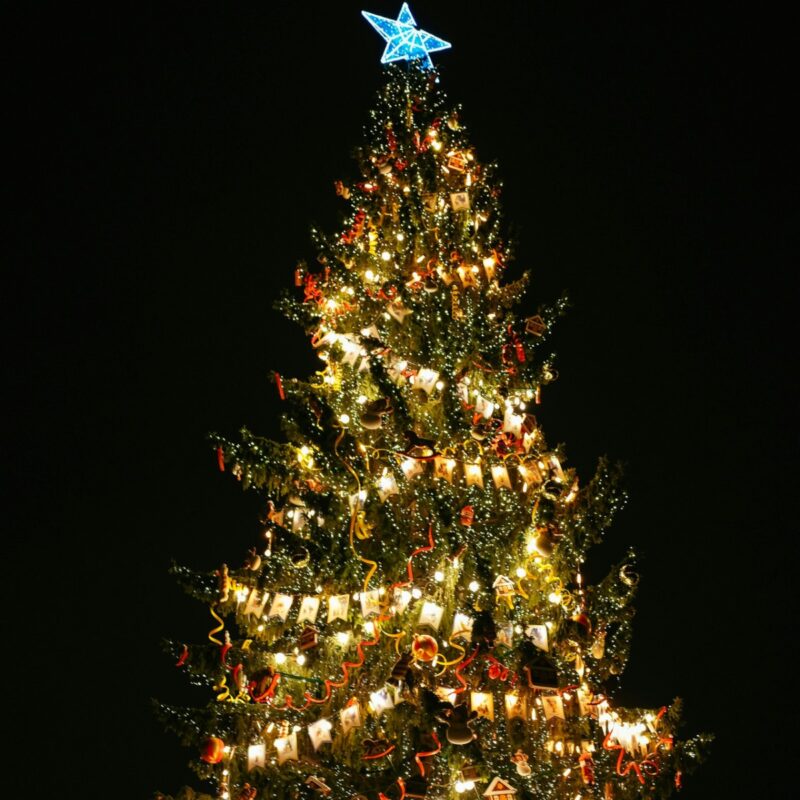 holiday tree lighting montclair
