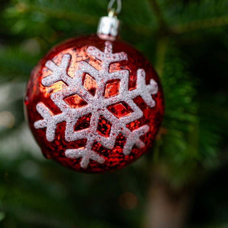 montclair essex county holiday actvities