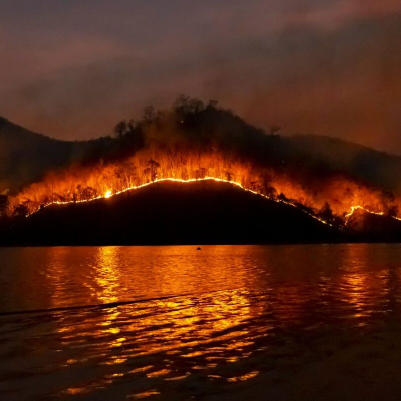 new jersey wildfires november 2024