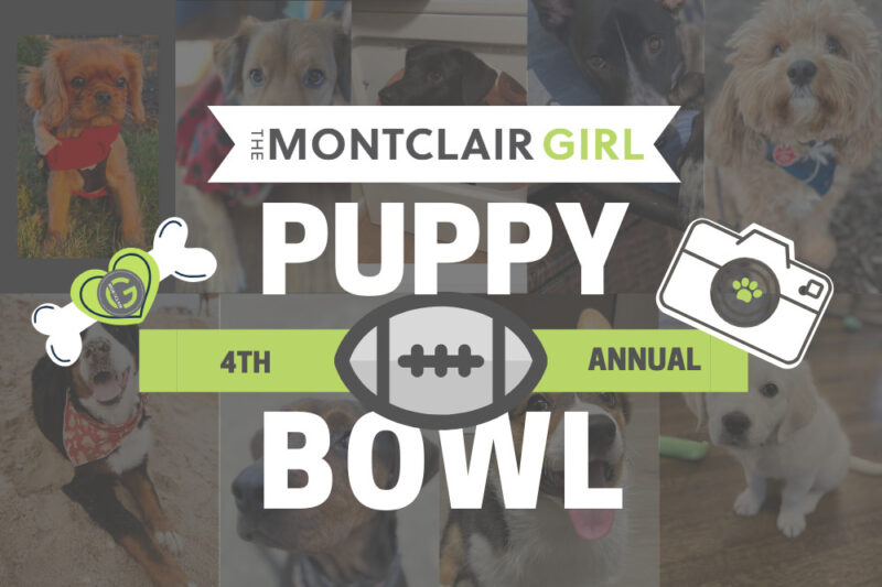 puppy bowl montclair 2025