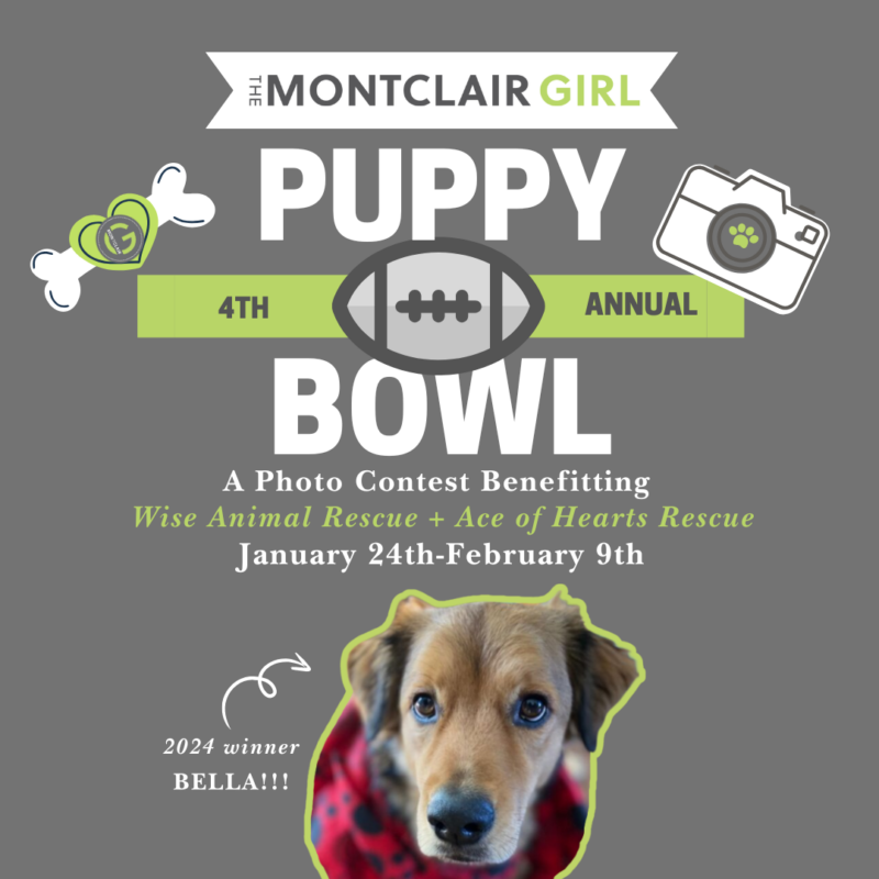 puppy bowl montclair 2025