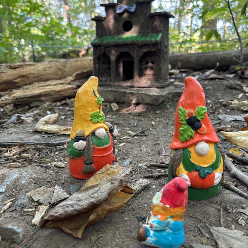 south mountain reservation fairy trail millburn nj