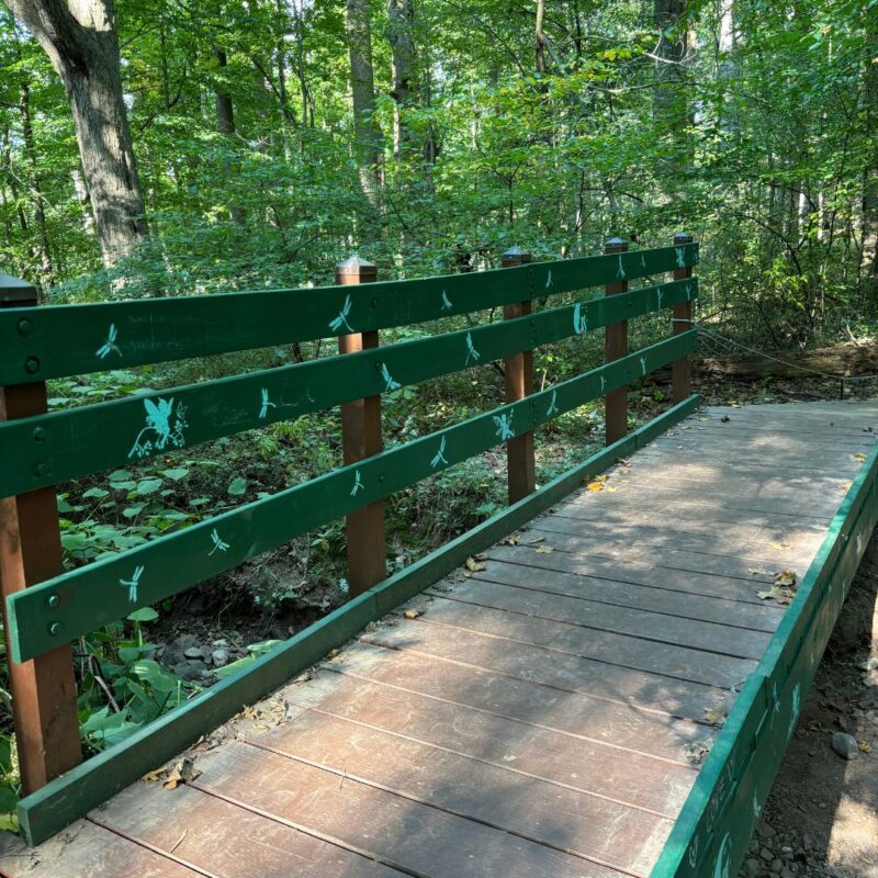 south mountain reservation fairy trail millburn nj