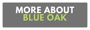 more about blue oak