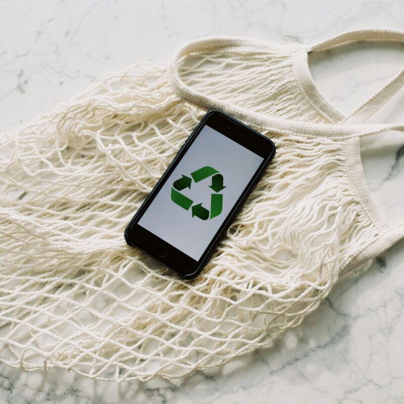 eco-friendly-businesses-montclair-essex-county-nj