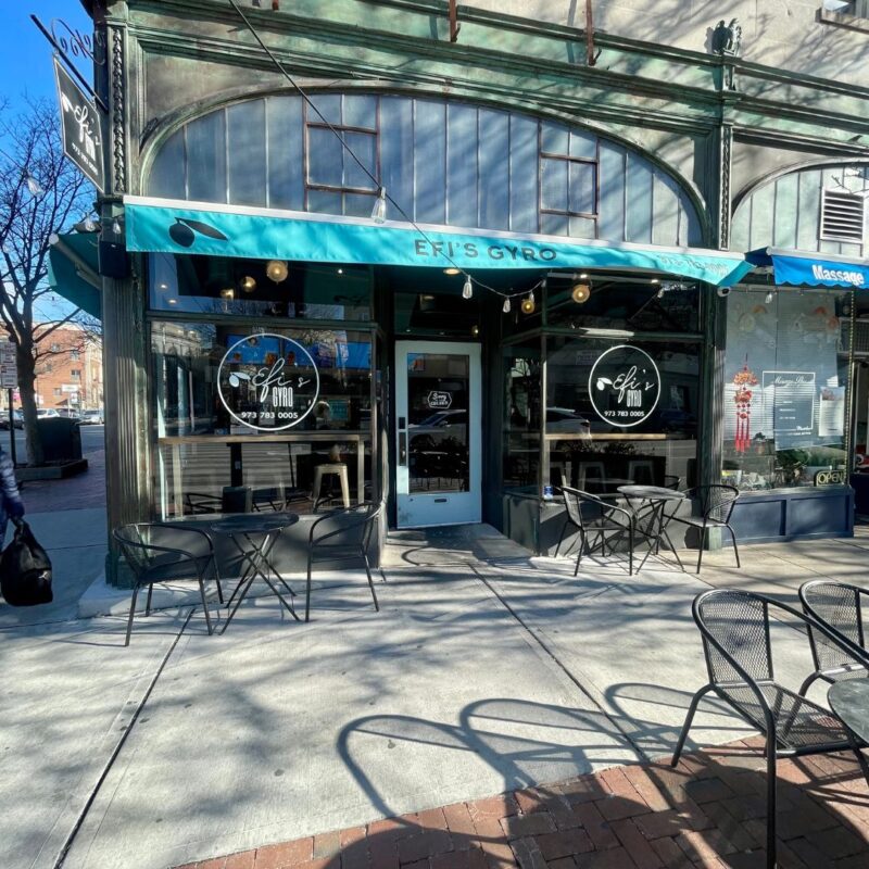 efis gyro montclair nj