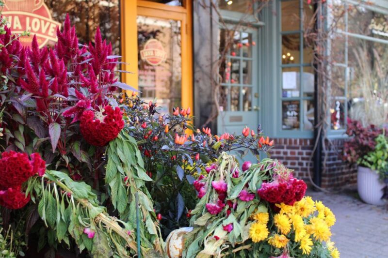 montclair essex county north new jersey events march 28 2025
