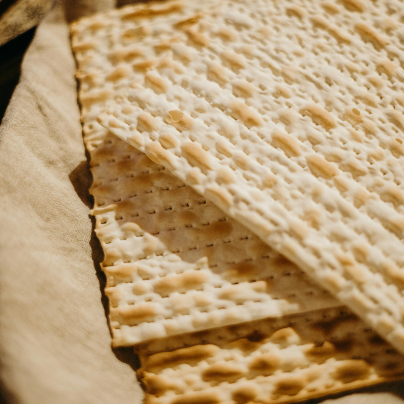 passover-dishes-new-jersey