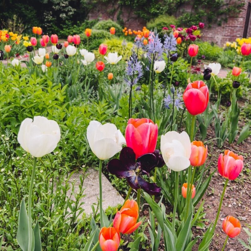 best gardens montclair new jersey