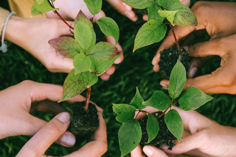 earth day events pexels