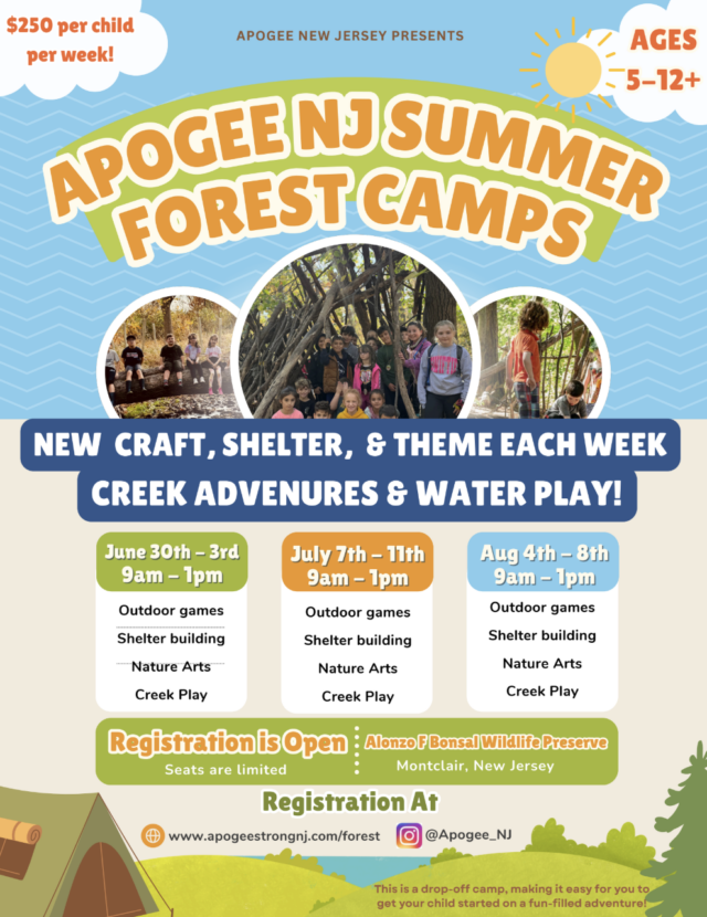 forestcamp