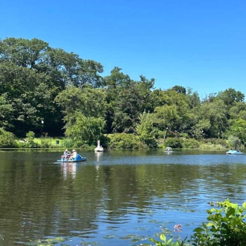 montclair summer bucket list