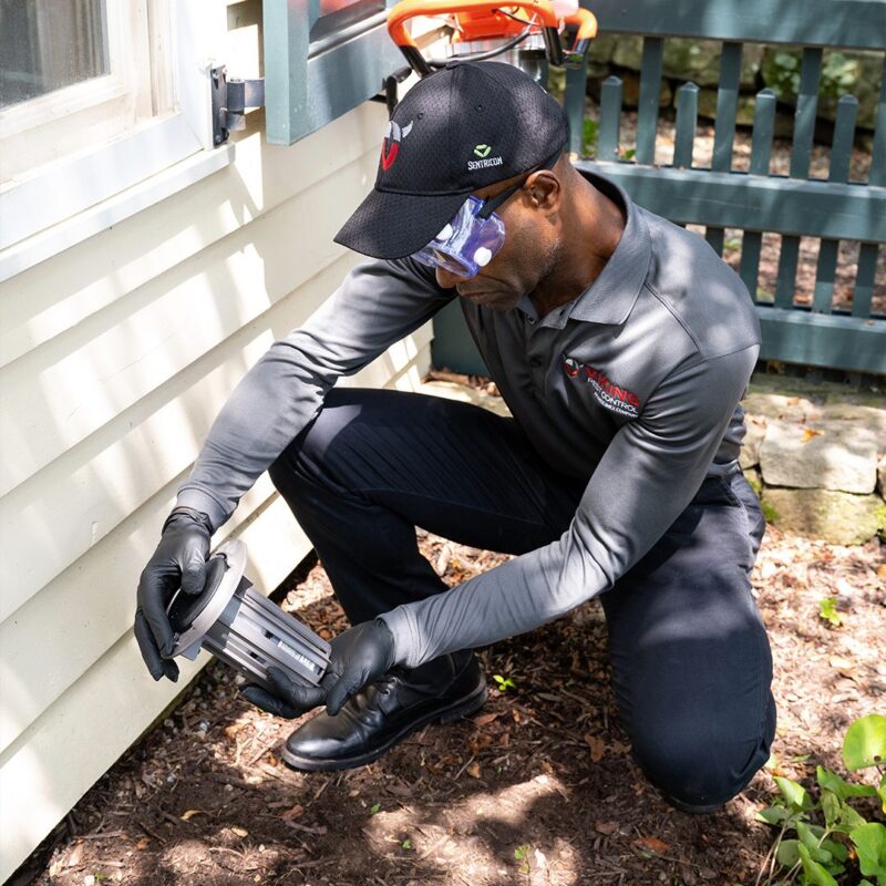 viking-pest-control-eco-friendly-montclair