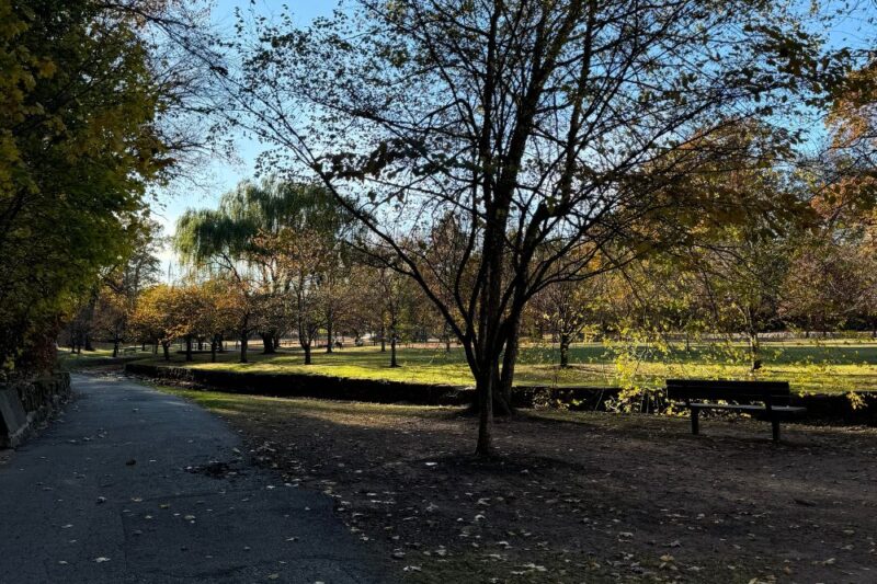 where-to-cry-montclair-nj