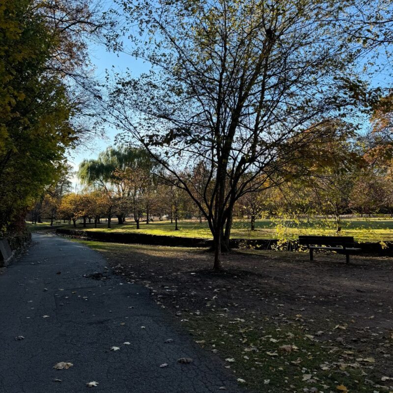 where-to-cry-montclair-nj
