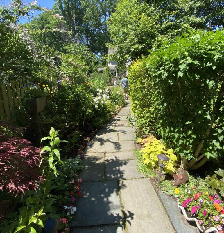 roses to rock gardens