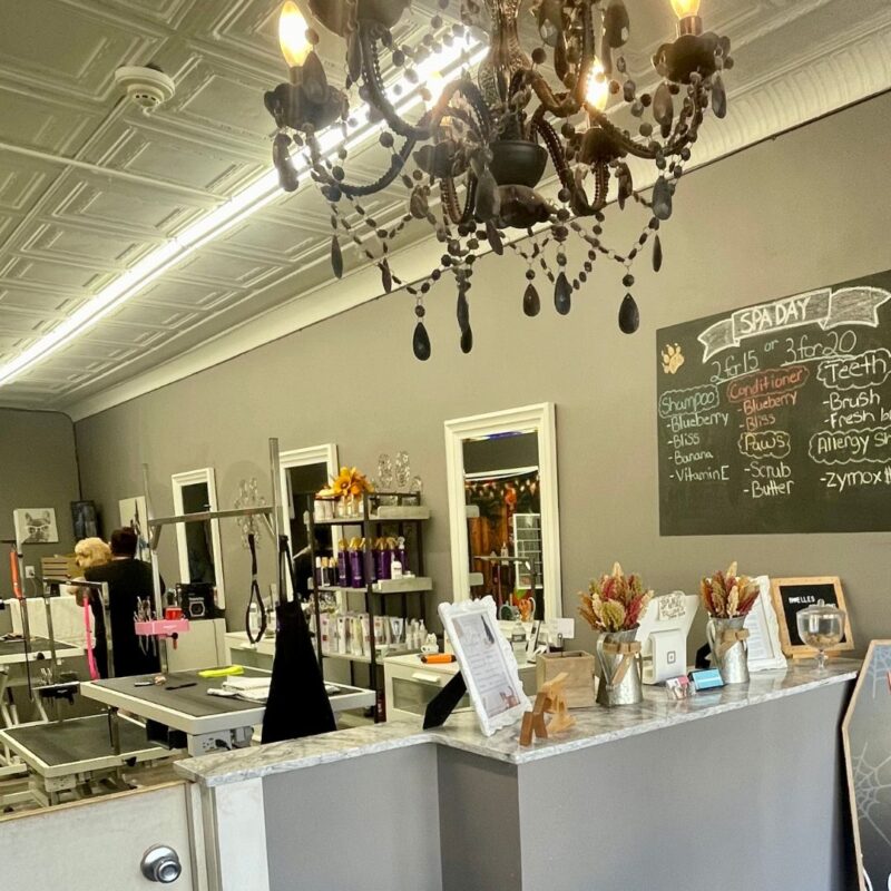 noelles-pet-grooming-montclair