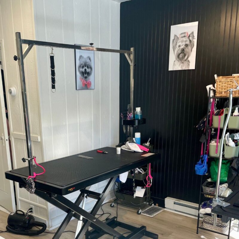 pet-grooming-montclair-new-jersey 
