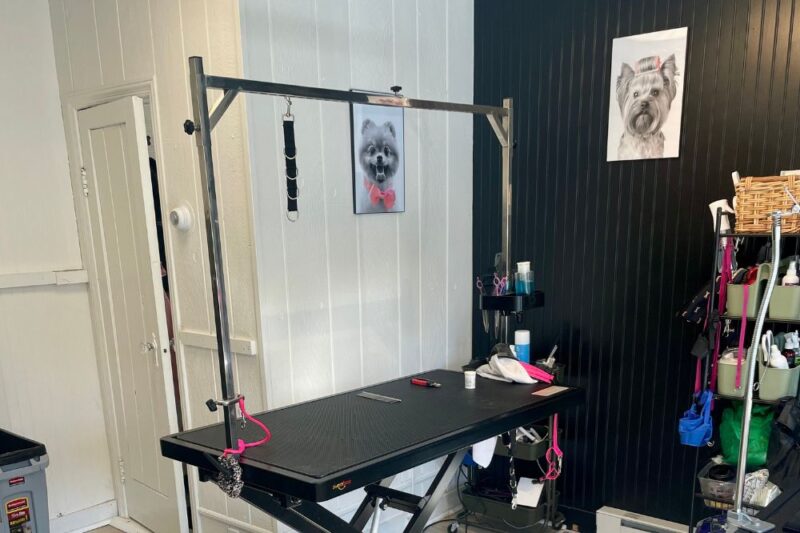 pet-grooming-montclair-new-jersey