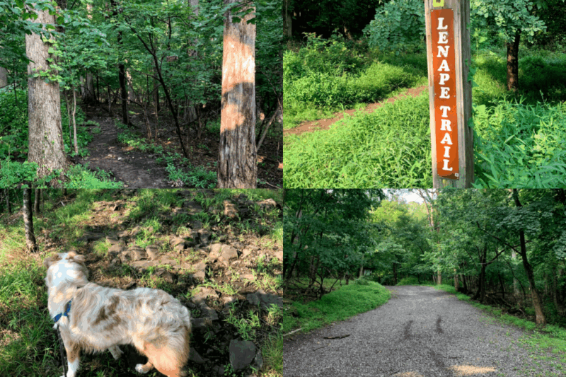 Best Hiking Trails Montclair