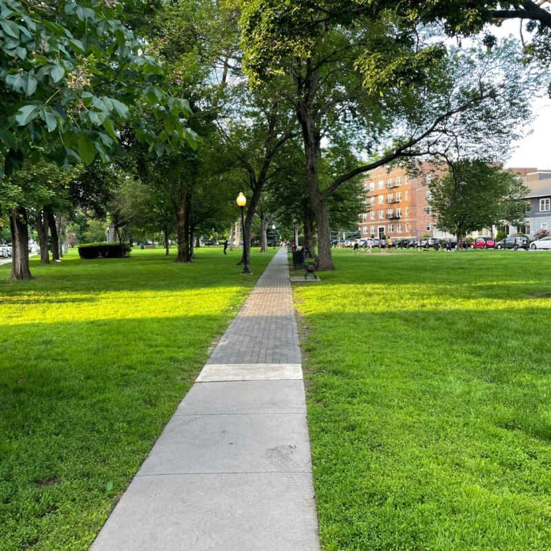 bloomfield green