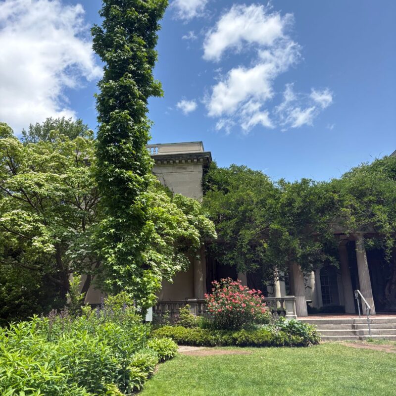 van vleck nj