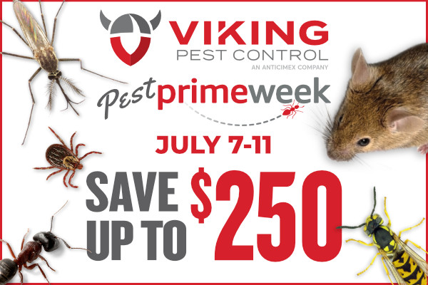 viking pest control