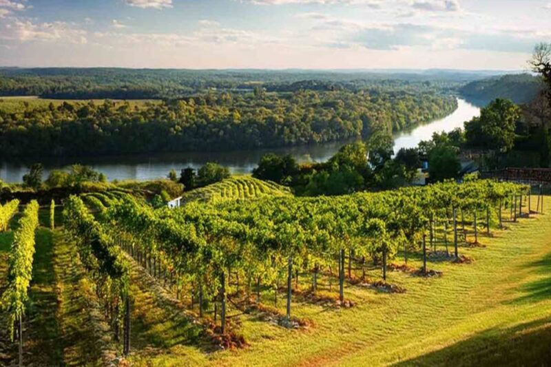 delaware river railroad excursions wine tour phillipsburg nj