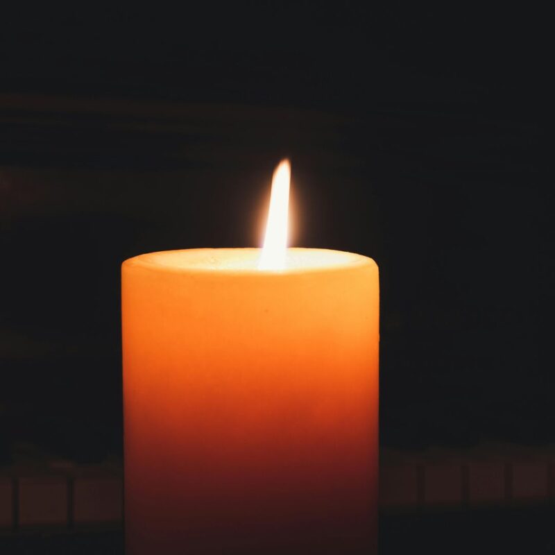 pockets of light