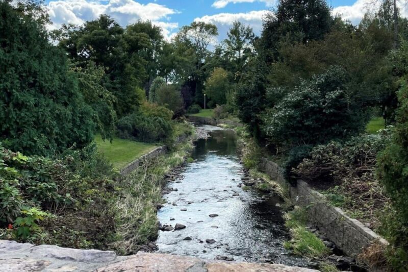 broadway in the park maplewood nj 2025