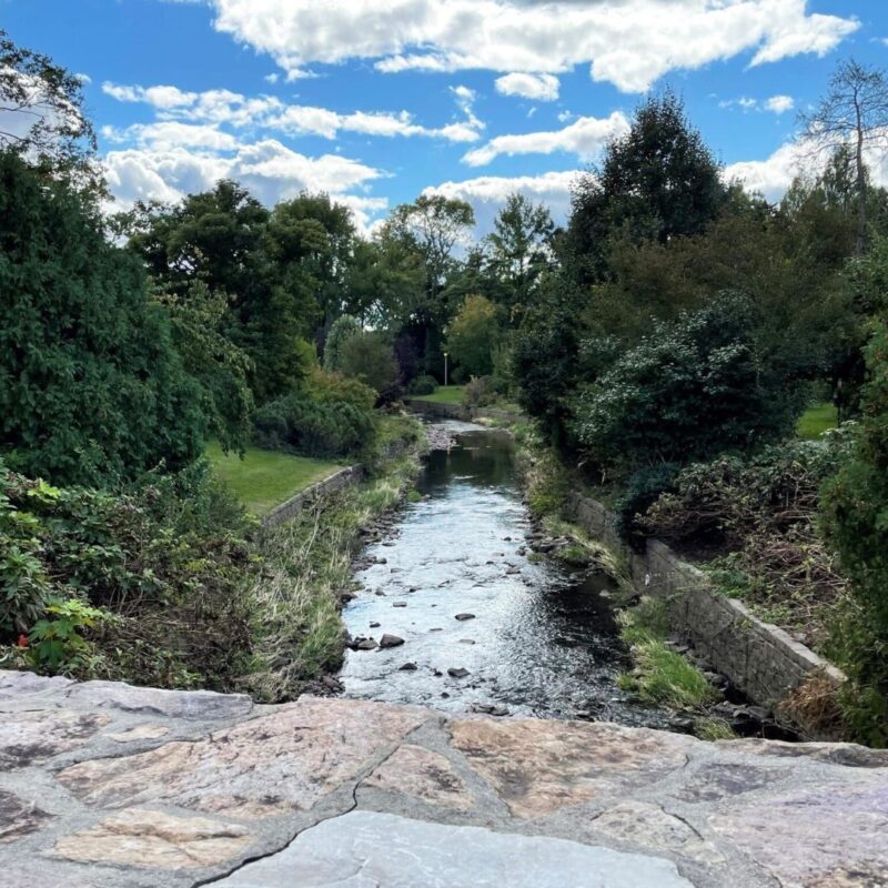broadway in the park maplewood nj 2025