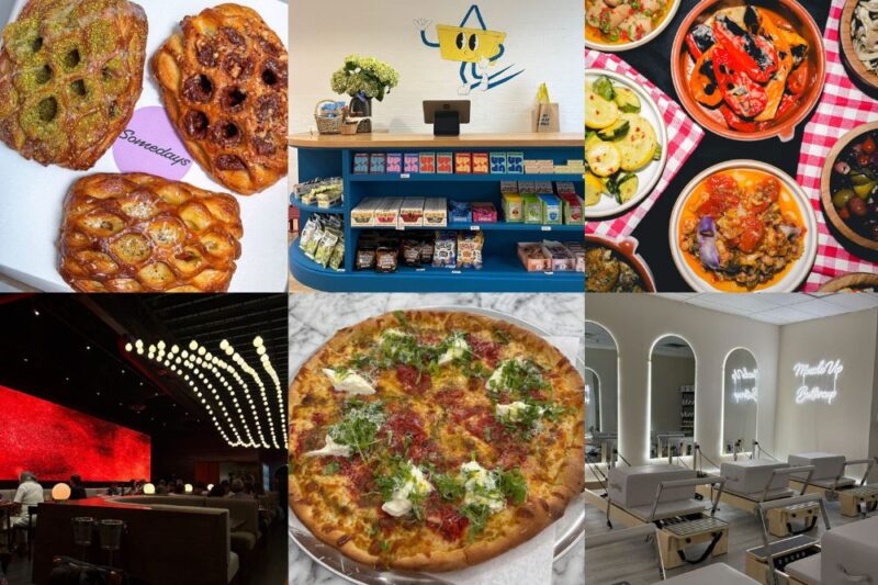 new businesses montclair essex county nj