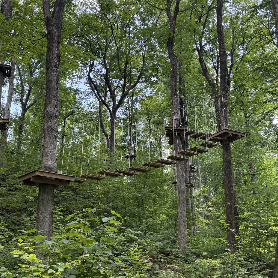 ropebridge