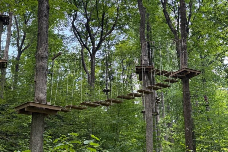 treescape aerial adventure park vernon nj