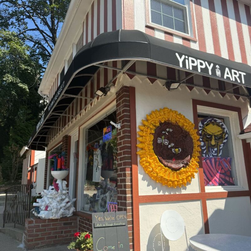 yippy art lake mohawk sparta nj
