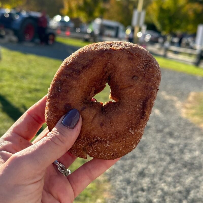 demarest farm hillsdale nj