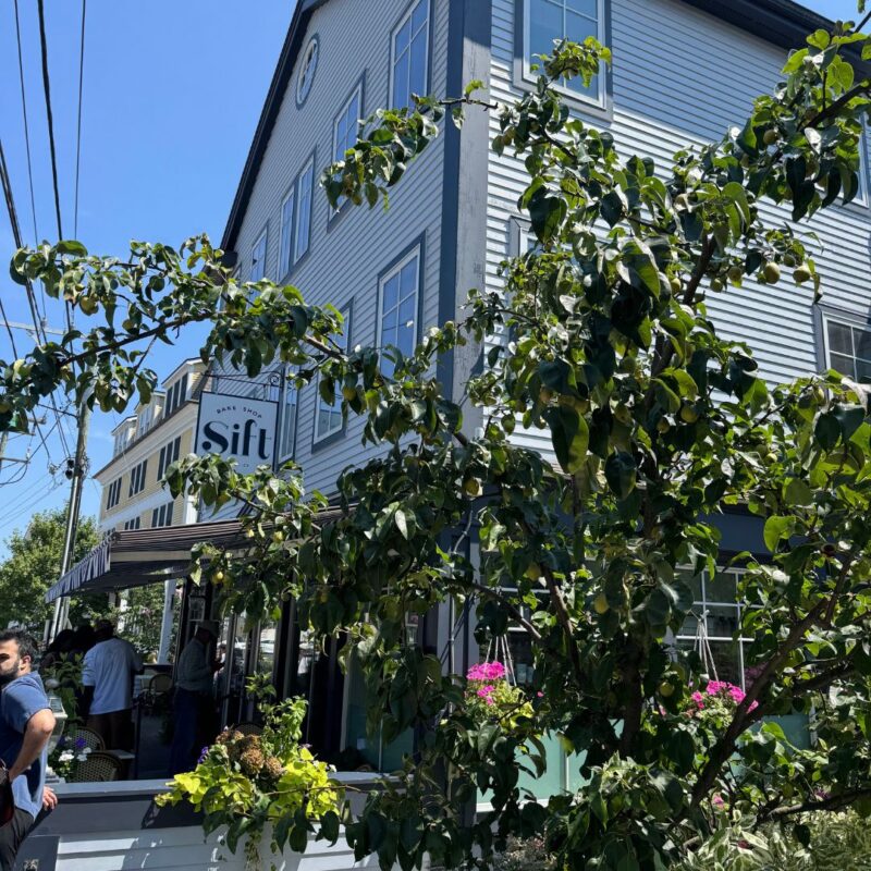 mystic connecticut things to do