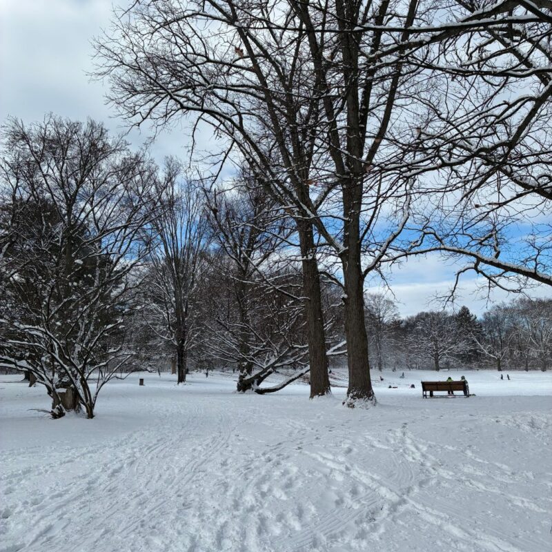 sled montclair