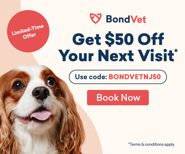 Bond Vet