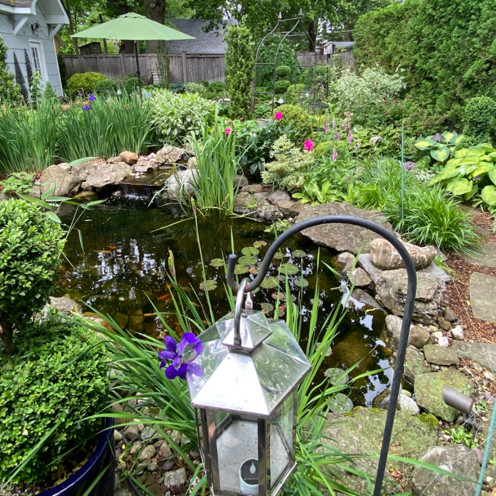 Rose Rock Gardens Tour Van Vleck Gardens