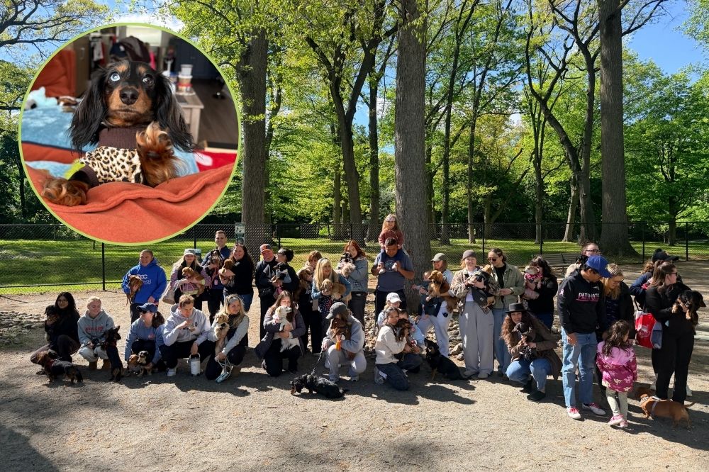 montclair weenie meetup nj