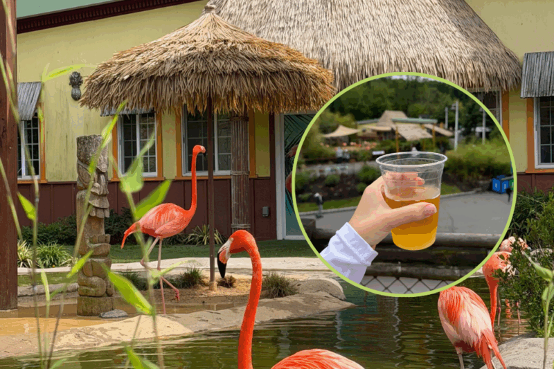 Turtle Back Zoo Craft Beer Brew Event